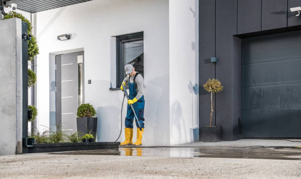 Best Building Exterior Washing  in Havre, MT